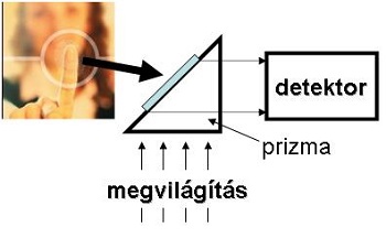 A biometrikus azonosítás módszerei – Ujjnyomat-azonosítás