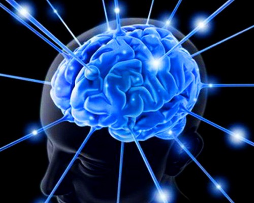 Az agy, mint biometrikus azonosítási módszer