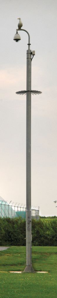 Meghúzom a vonalat!