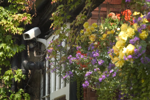 Meghúzom a vonalat!