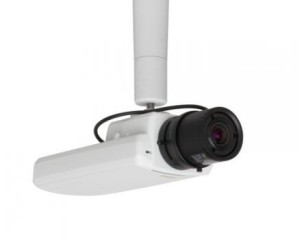 Axis P13