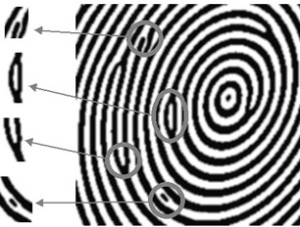 Matematikai módszerek a biometriában