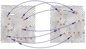 Matematikai módszerek a biometriában
