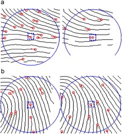 Matematikai módszerek a biometriában 3.