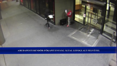 GeoVision kamerák „ fogtak” betörőket !