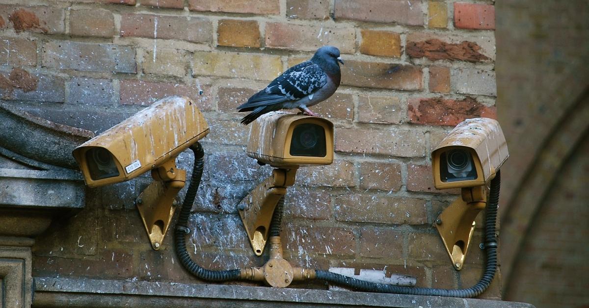 Így válassz CCTV kamerát! 1. rész a CCTV háború alapozása Forrás: https://1drv.ms/f/s!At6SwnPVDy5Qtm7he2IUj6fpeLxq
