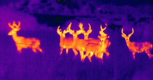 Így válassz CCTV kamerát! 2/2. rész: a CCTV háború stratégiája és taktikája Forrás: FLIR