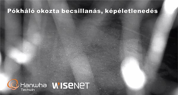 Forrás: Balczó Rudolf