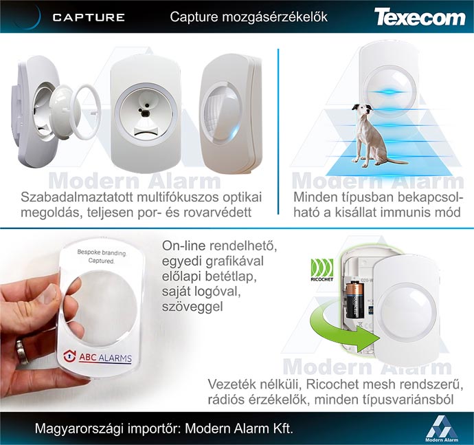 capture-illusztracio-online